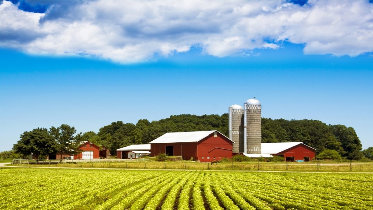 farmland